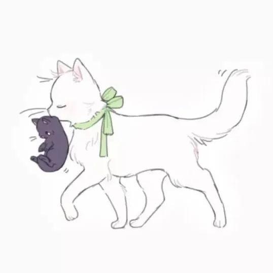苏玖玖。