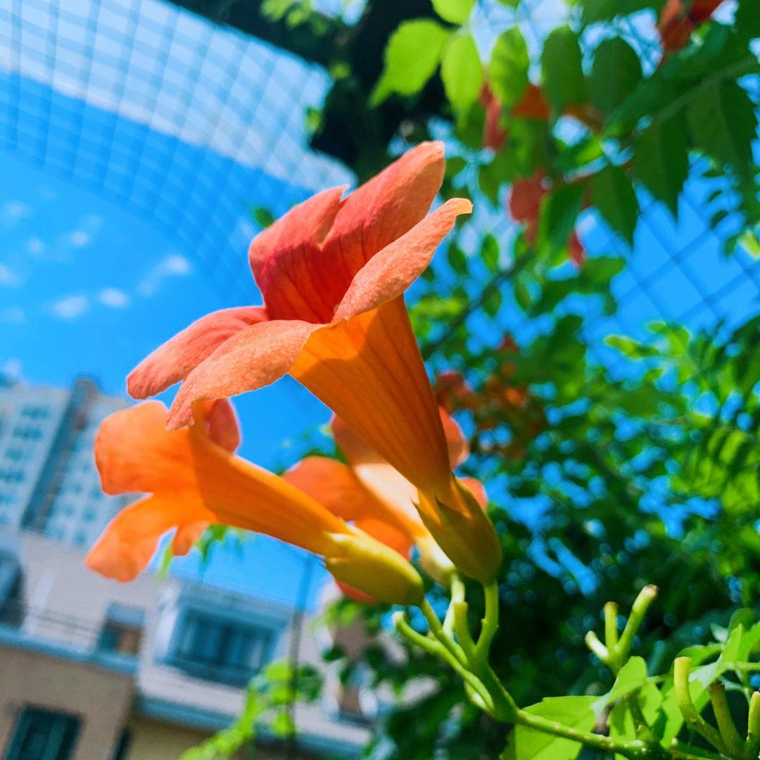 🌈啦啦啦啦啦啦啦