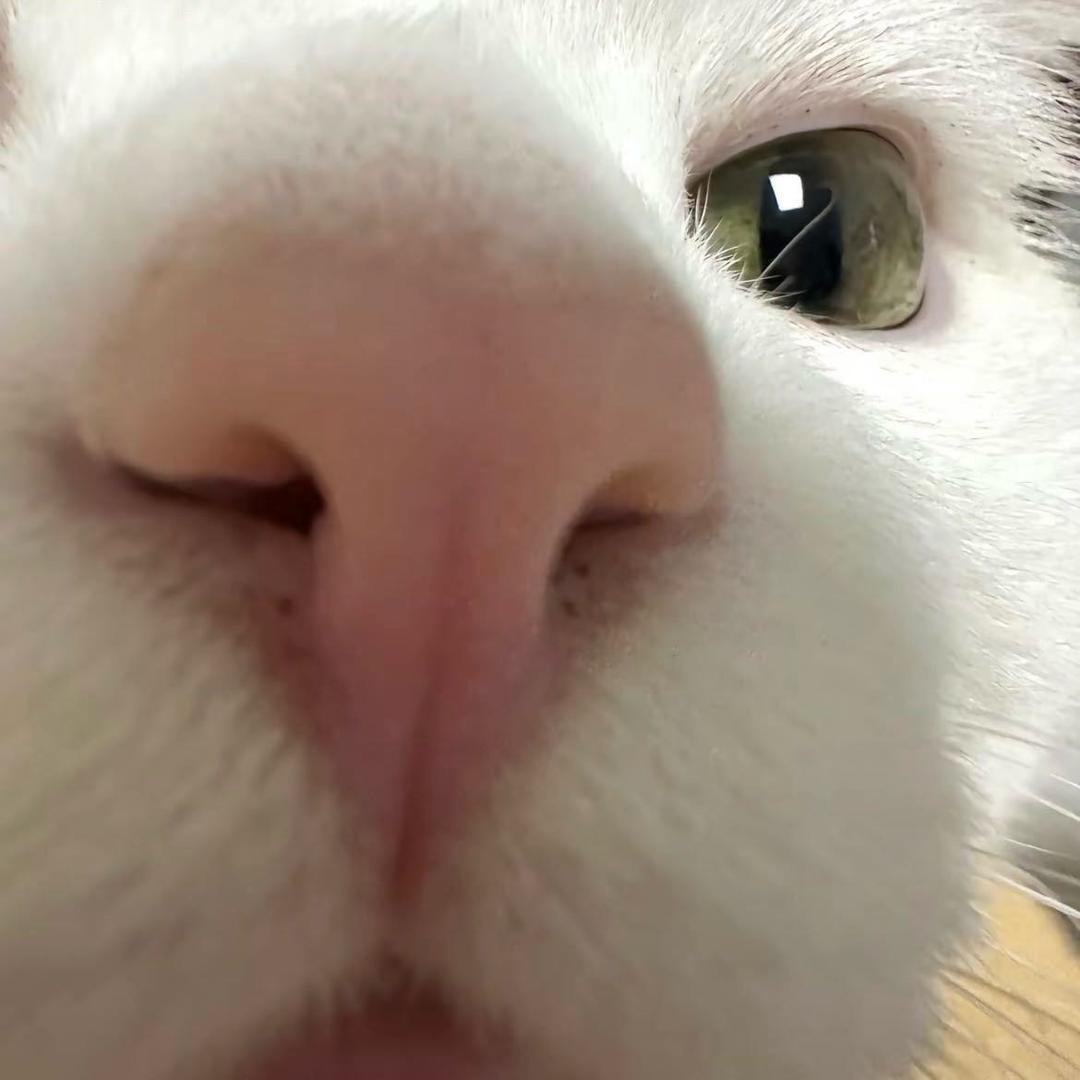敲敲