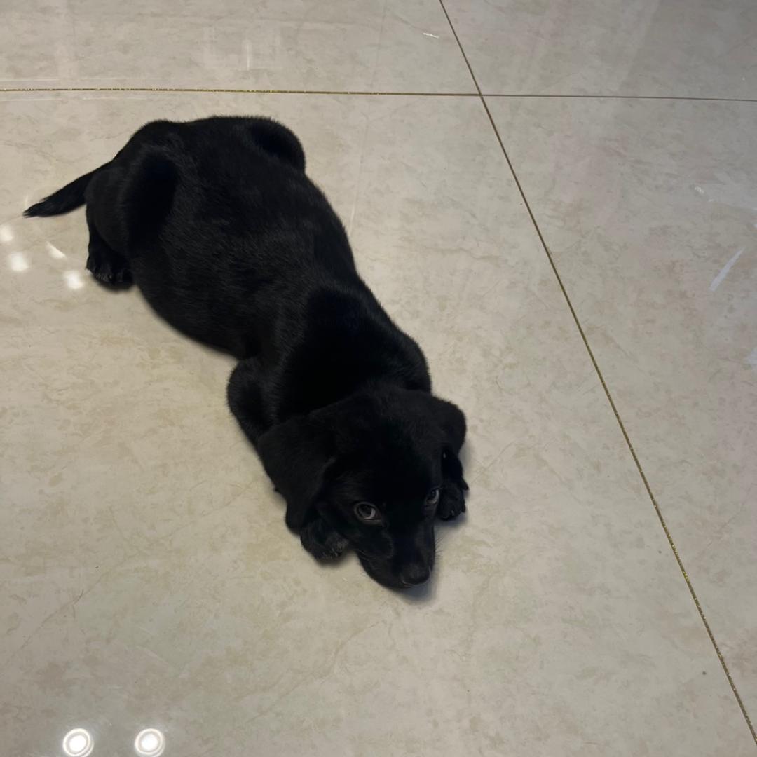 广陵小方DOTA2(爱看擦边BBW）