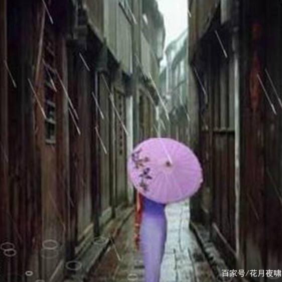 雨竹🌸🌸🌸