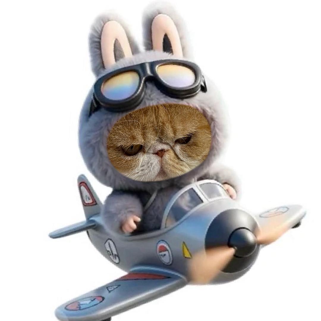 被全网通缉过的王富贵