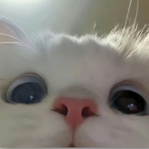 07-