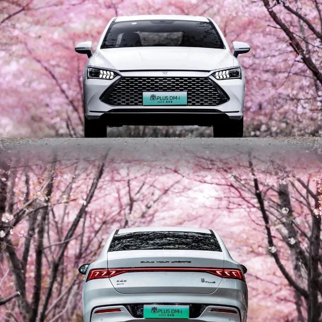 比亚迪秦plus  晨晨聊车