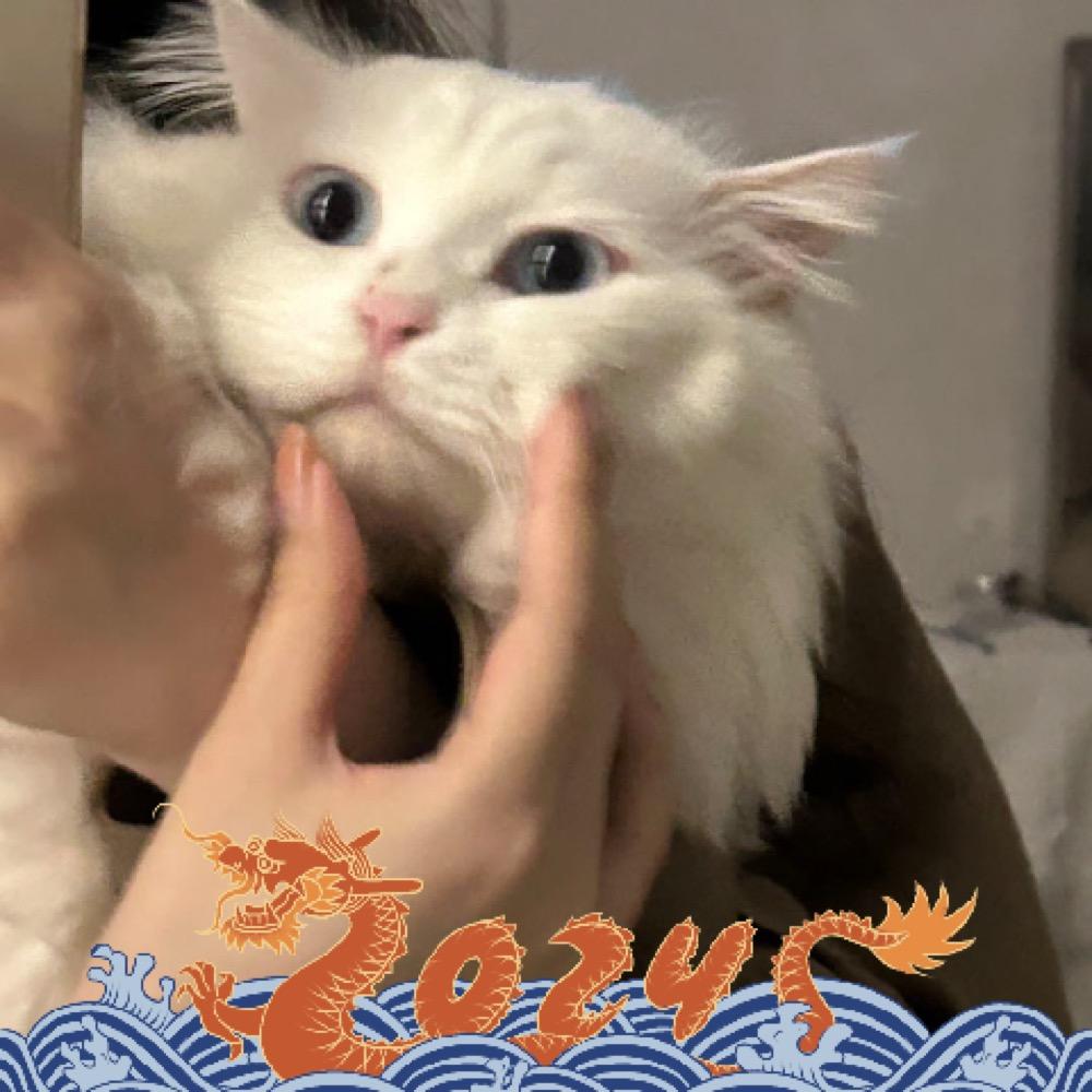 白馒头十二斤