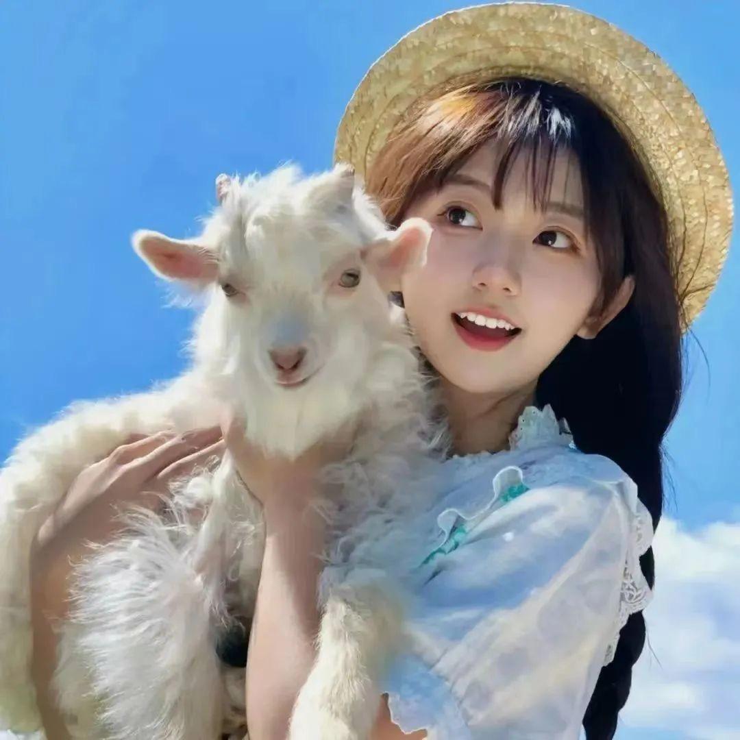 宪荣文化 火小喵