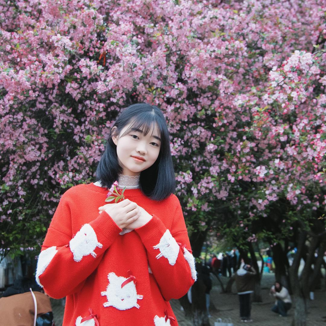 爱梅子