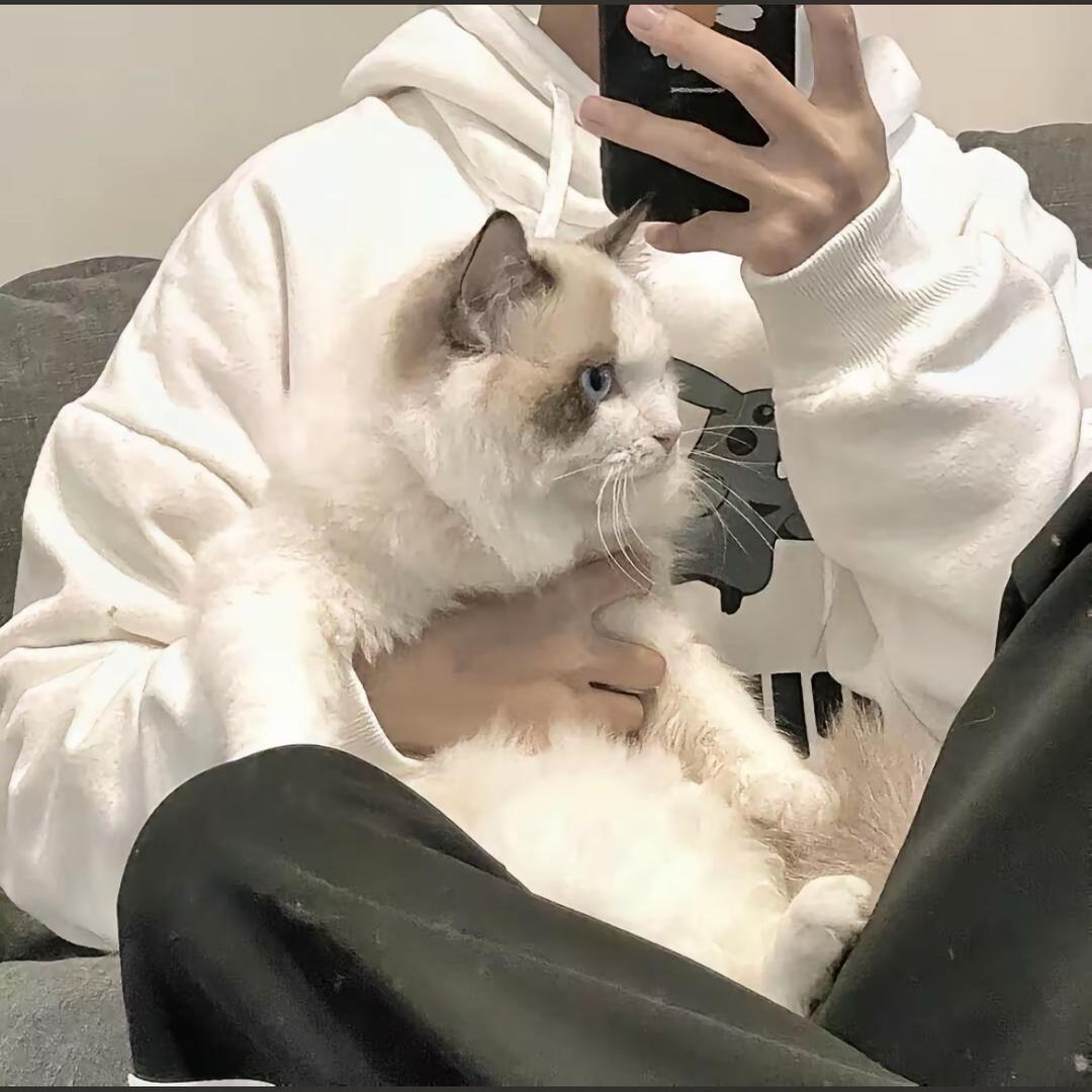 小洛