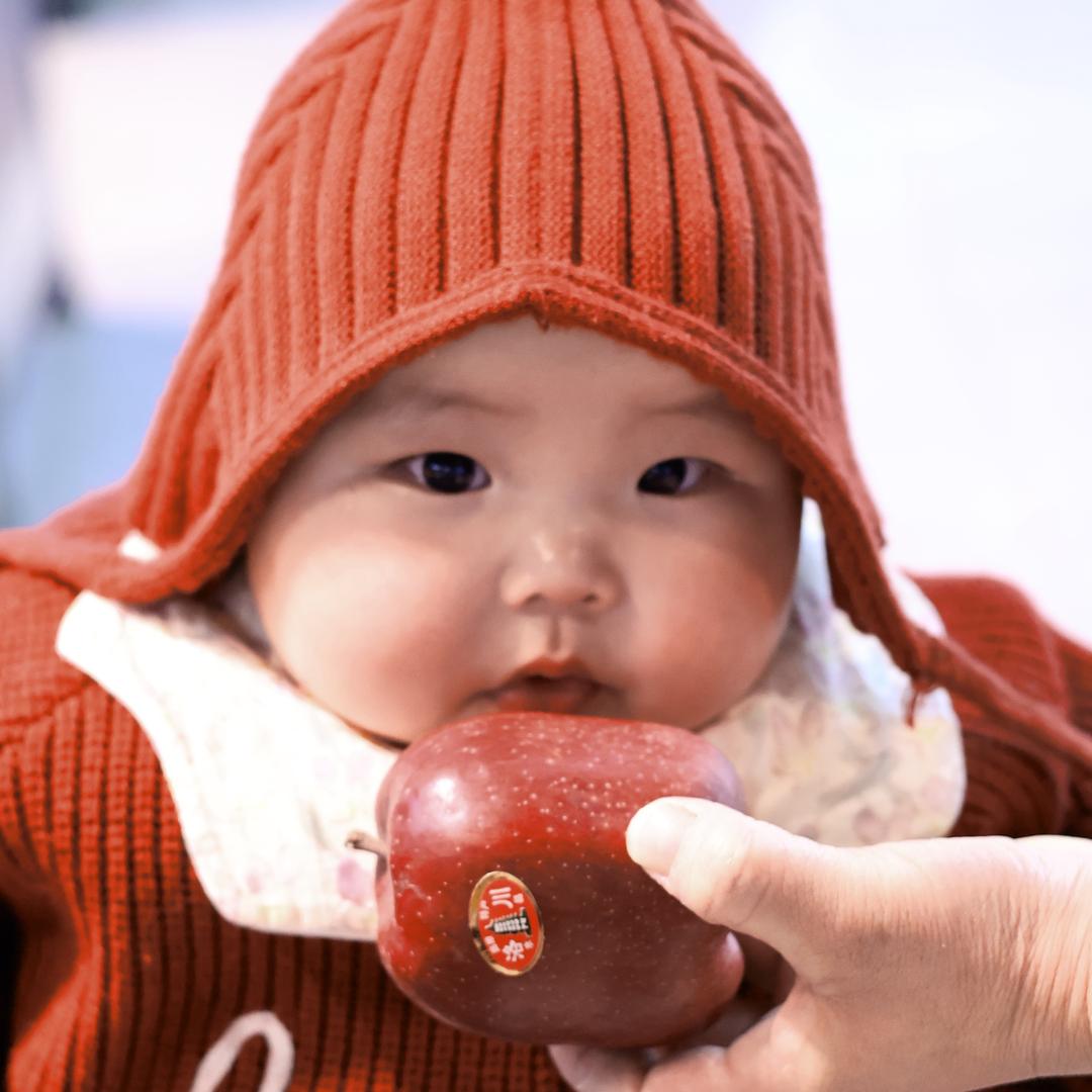 紫米饭团团【拍照版📷】