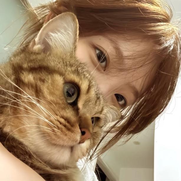 怎么又怪我