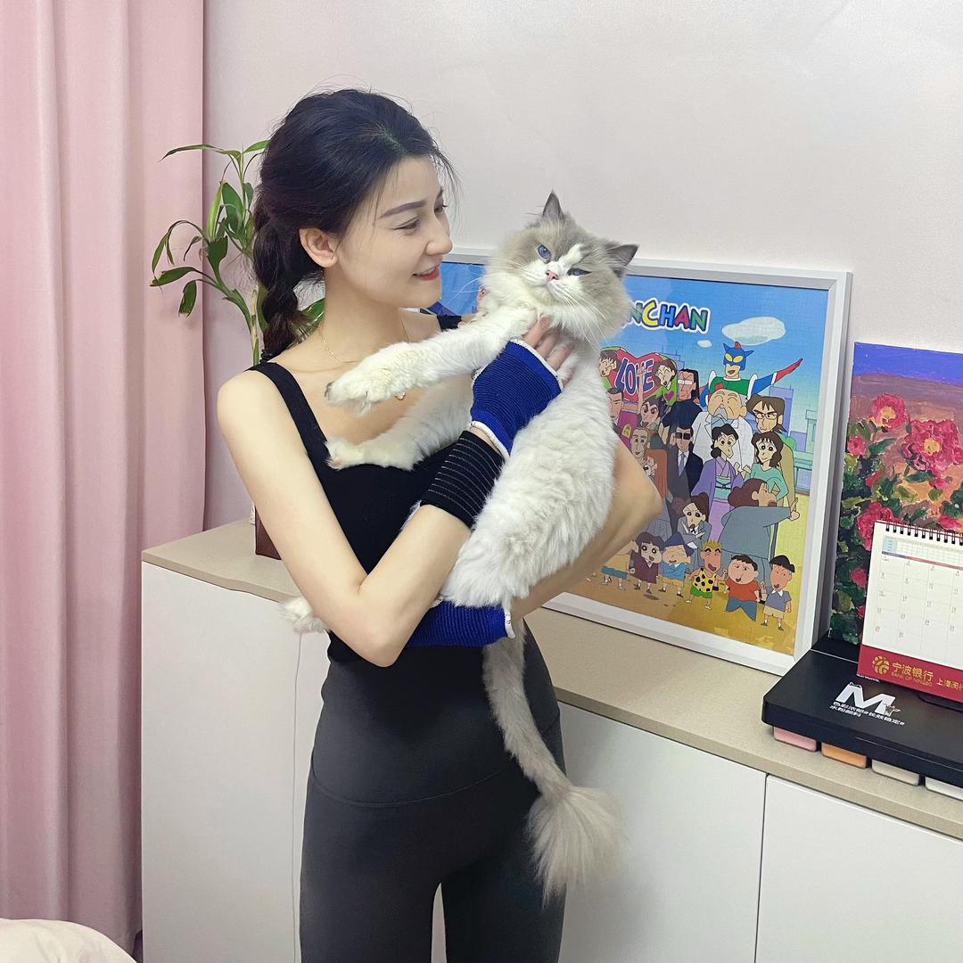 娟宝