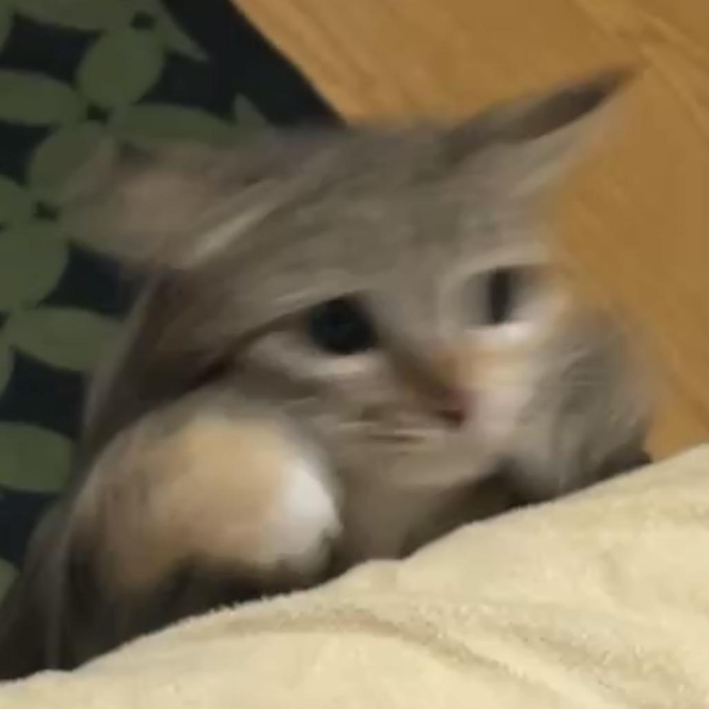 二等饼干