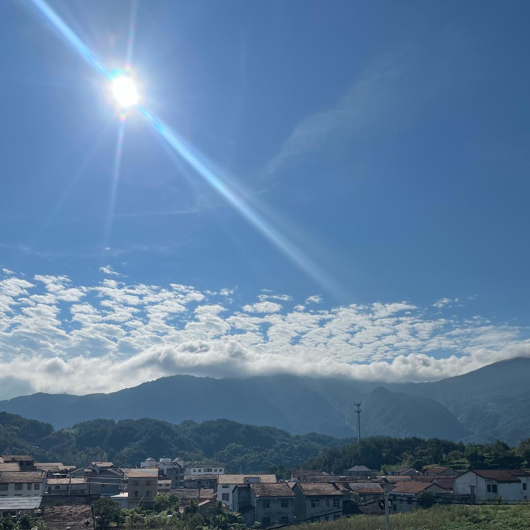 ✨草盘～胡先森✨