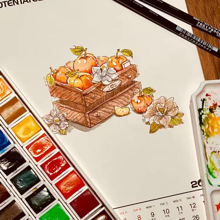 鱼七的数码日记本