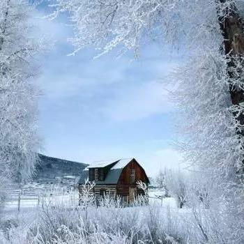 户外青蚯蚓甄选优品小铺