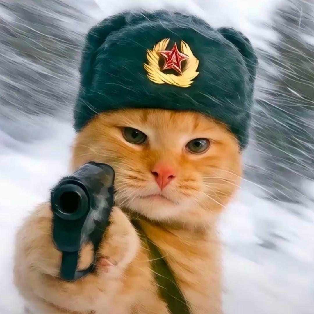 杨馨予