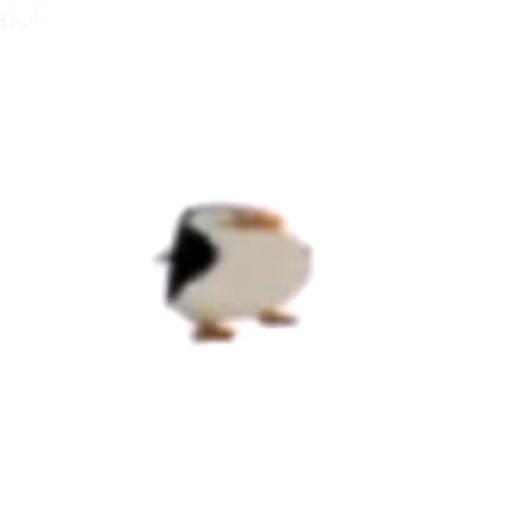 鹅🦢