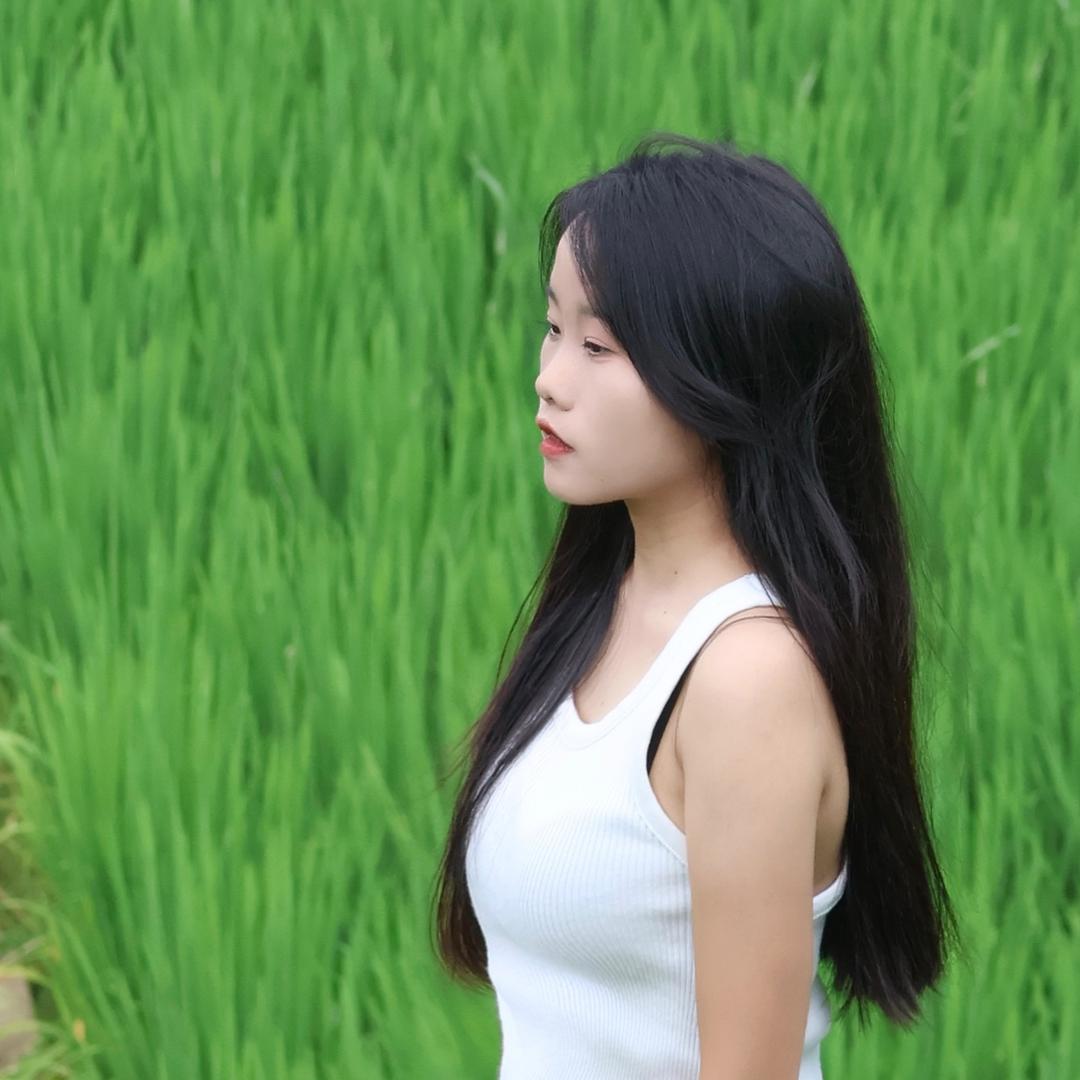 杨🐑
