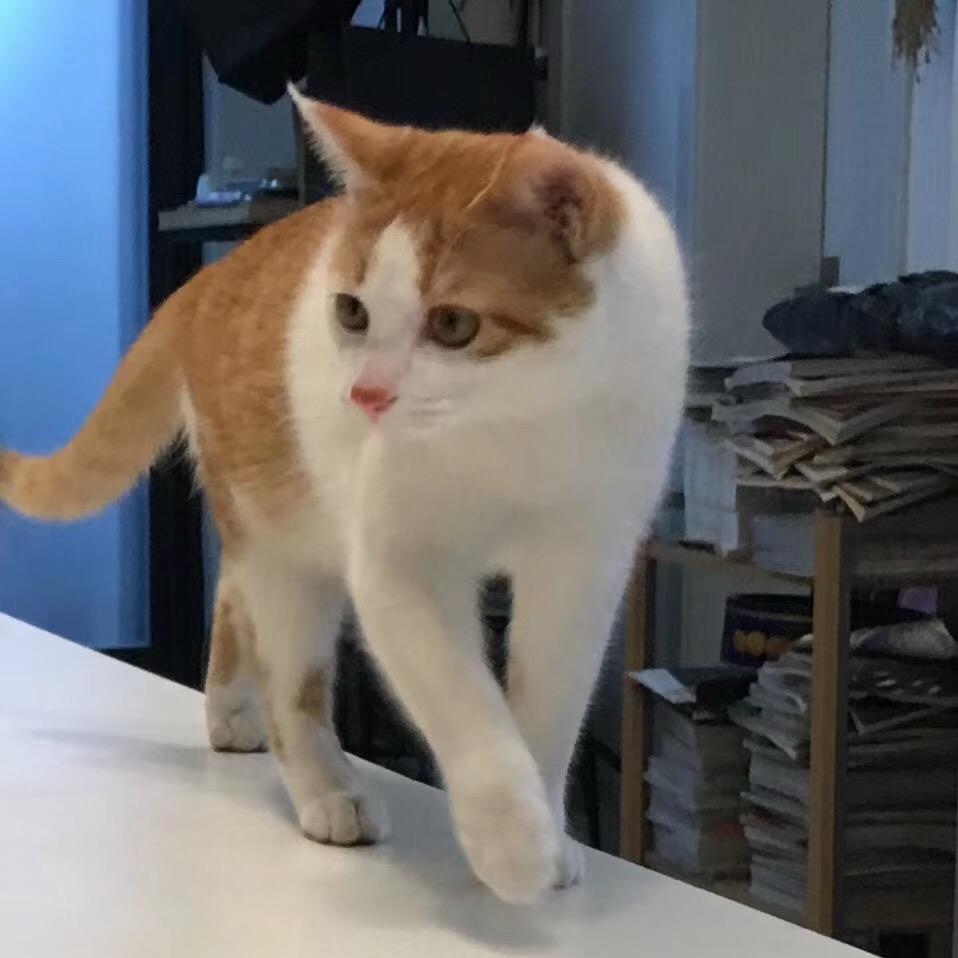 柒柒柒