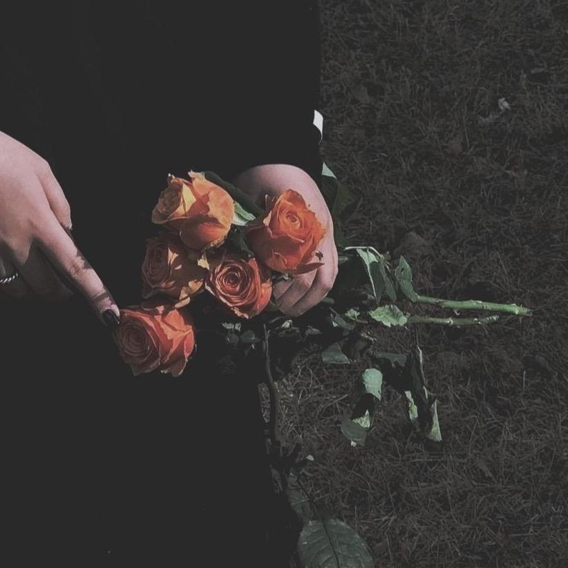 拾画🥀
