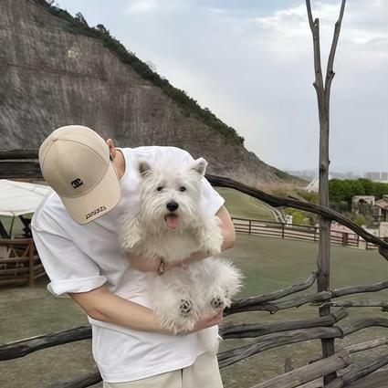 想