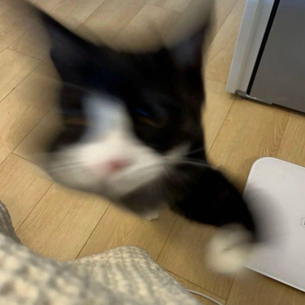 让窝再眯会儿吧