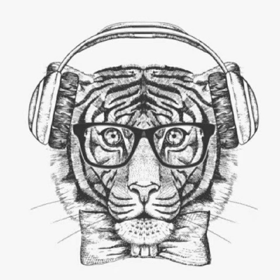 🌈虎🐯
