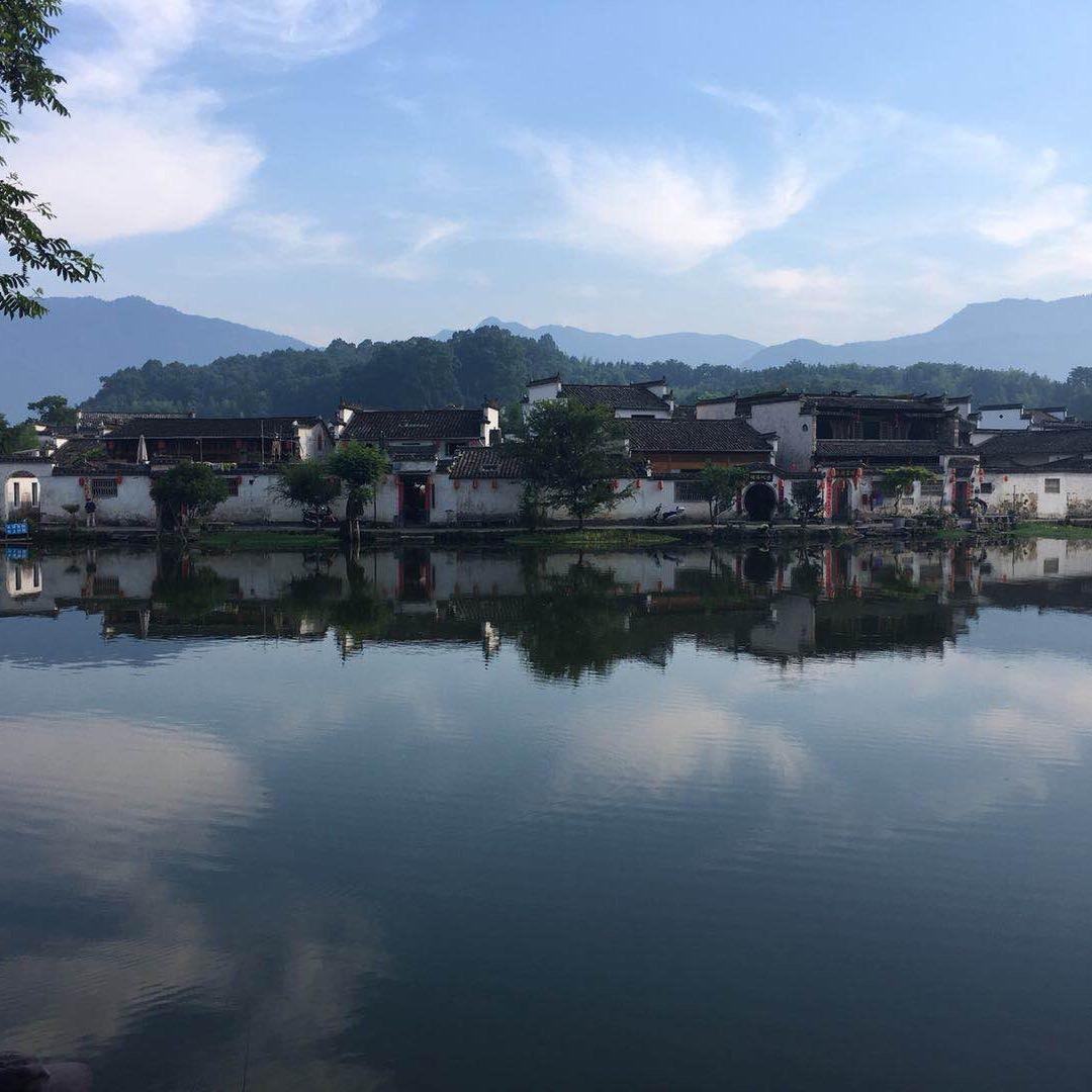 书生团队