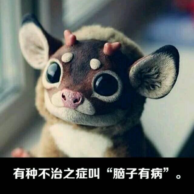 东张西望