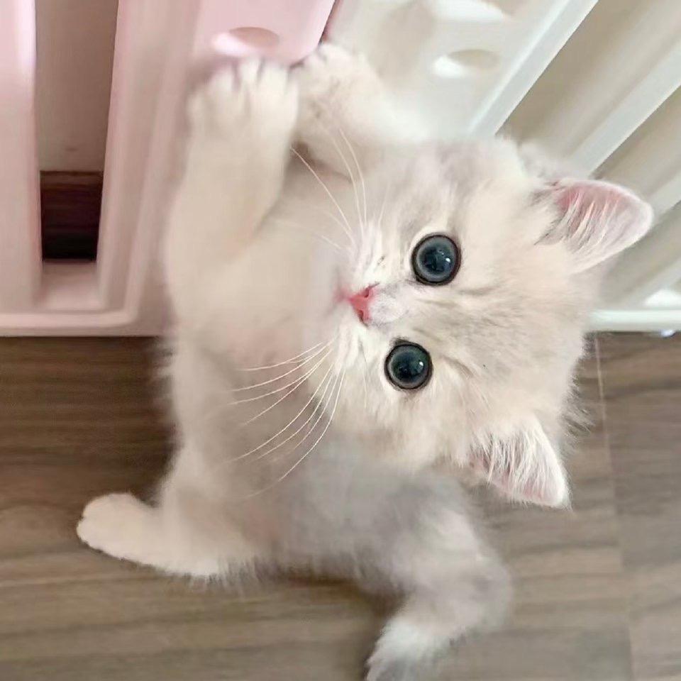 㭇