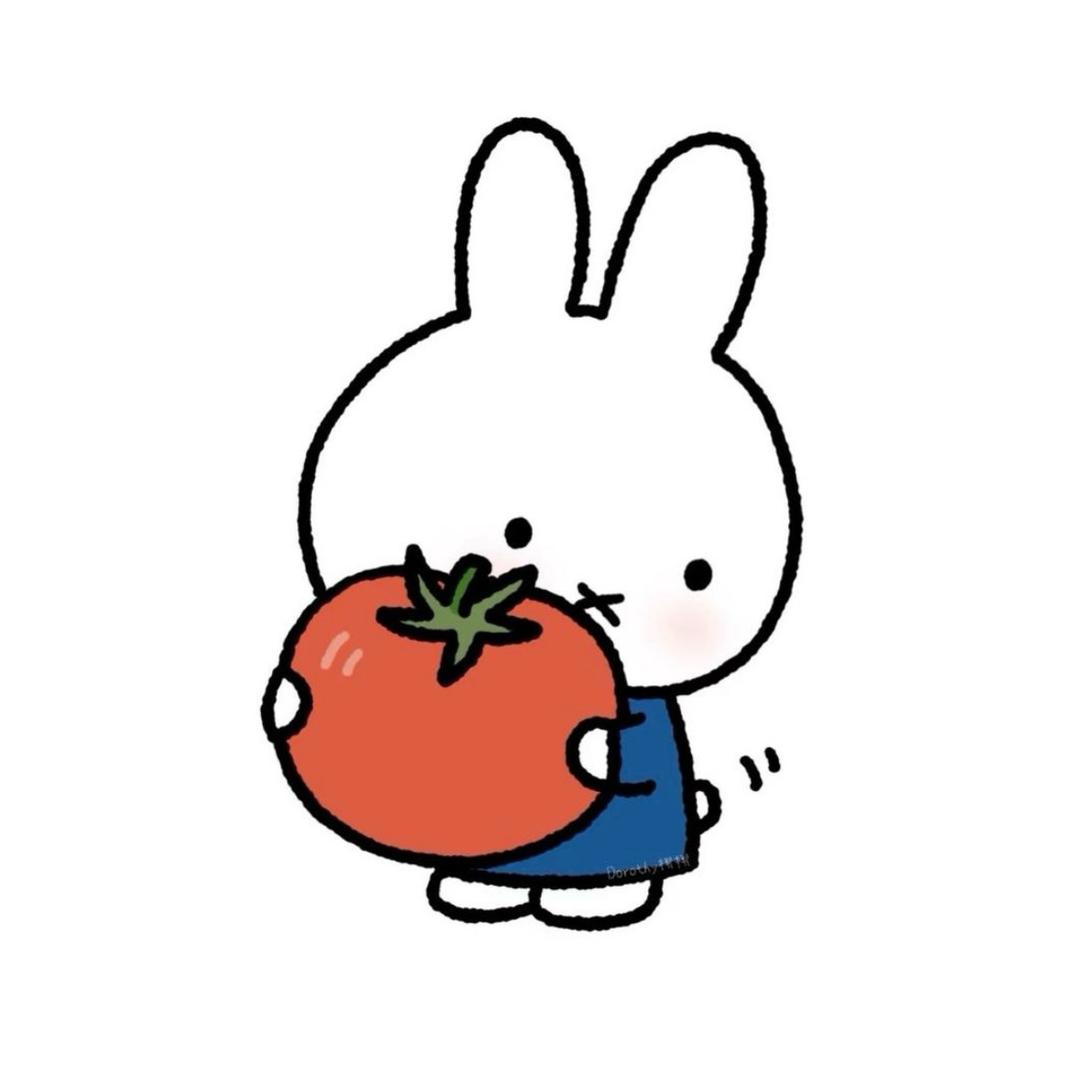 番茄你个tomato🍅
