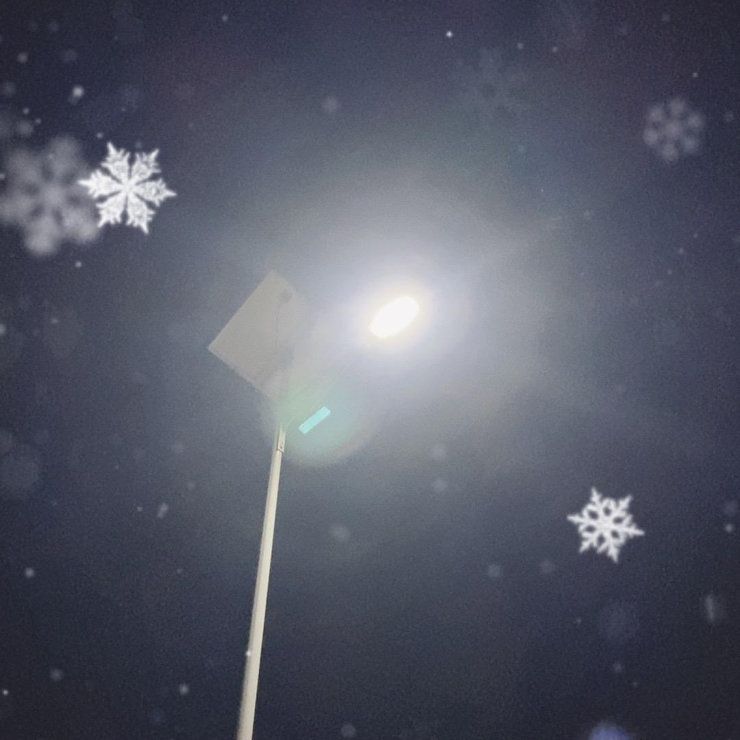 晓晓料⁵²⁸⁸🍀