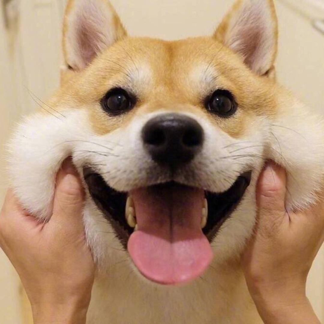 灵魂画师
