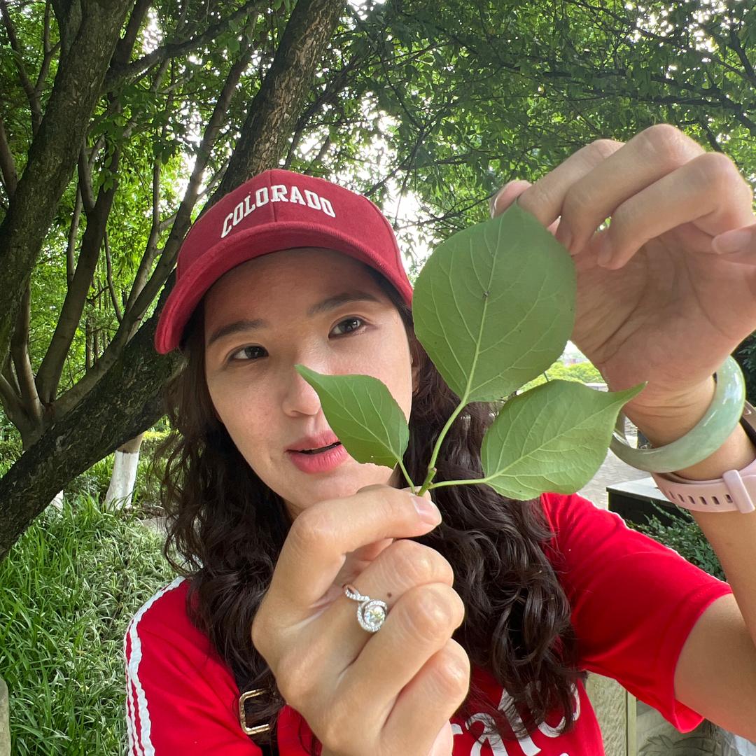 向阳老师育儿规划