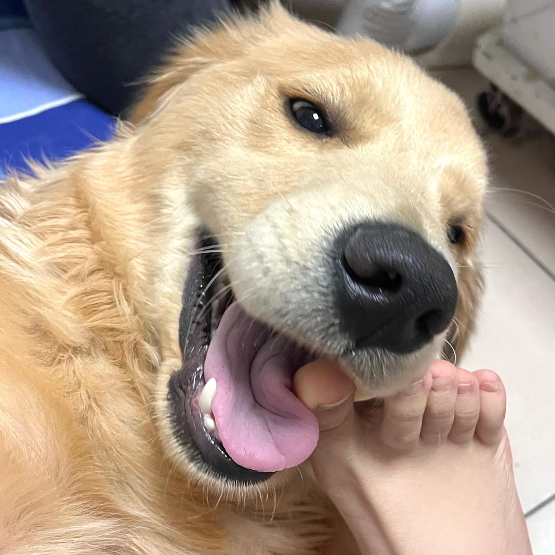 完美下颌线