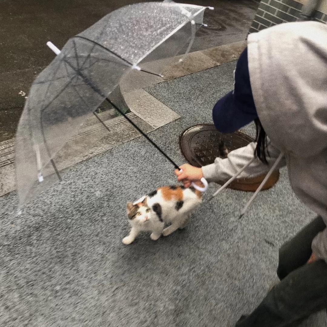 吃不胖啊～