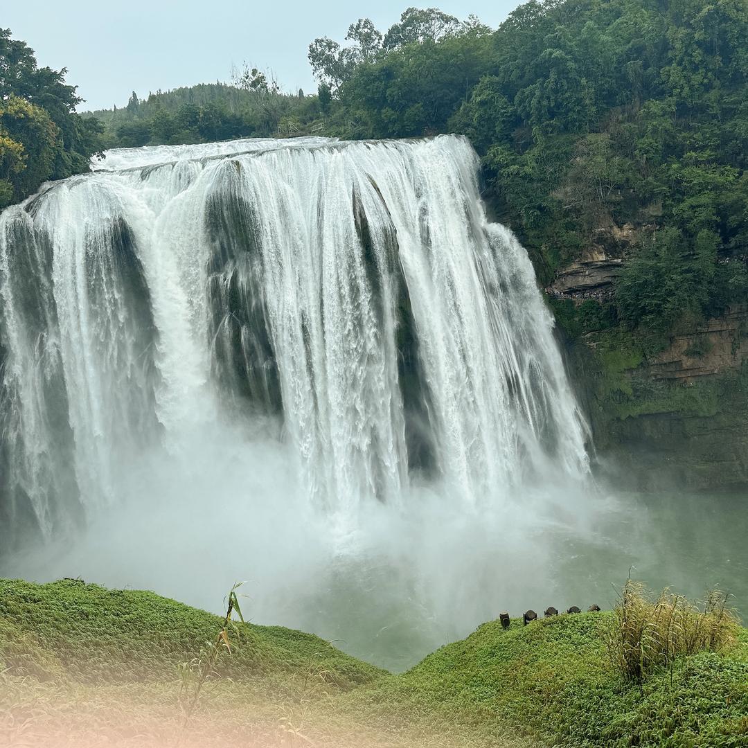 ༒落叶ꕥ᭄无声࿐2024