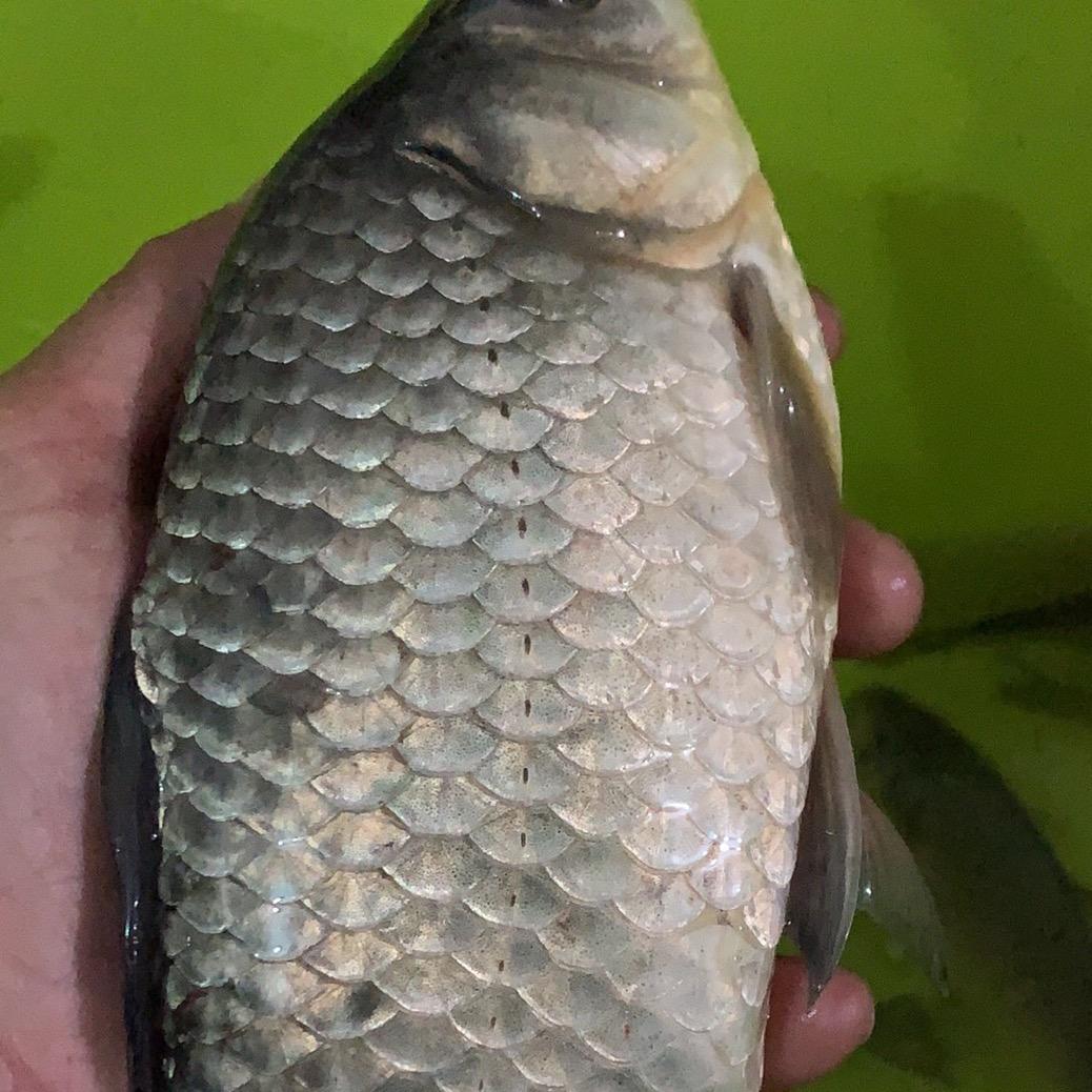 💕᭄大叔有⁵₂⁰点帅࿐ᩚ