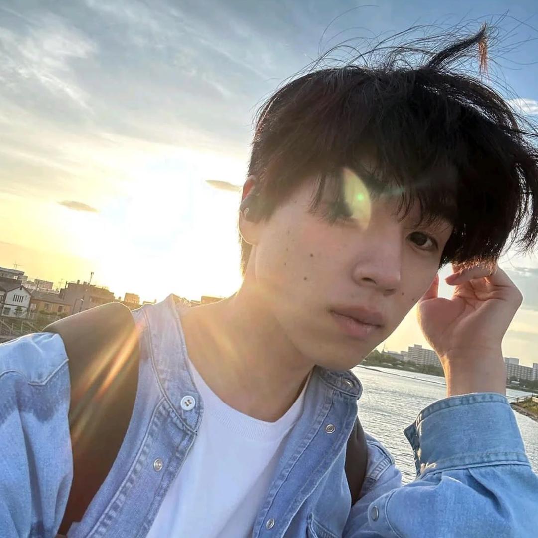 鲨鱼不吃鱼