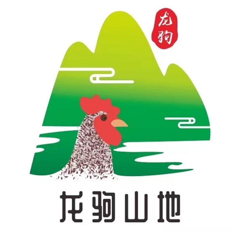 龙驹山地娇娇鸡
