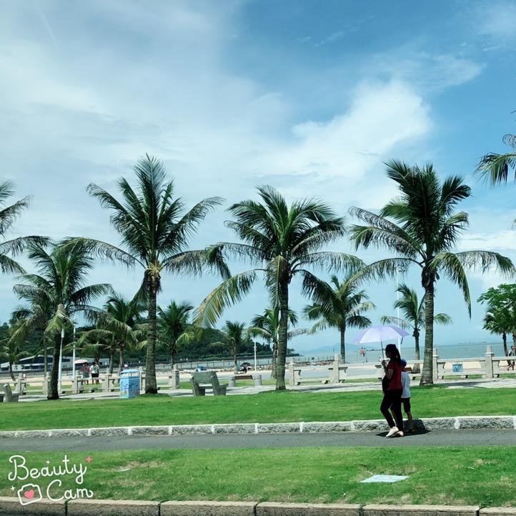 纯.