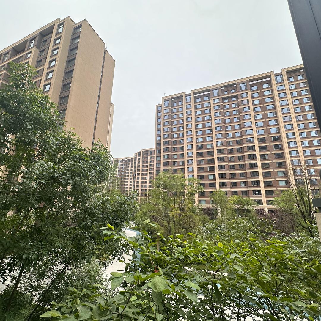 明天会更好
