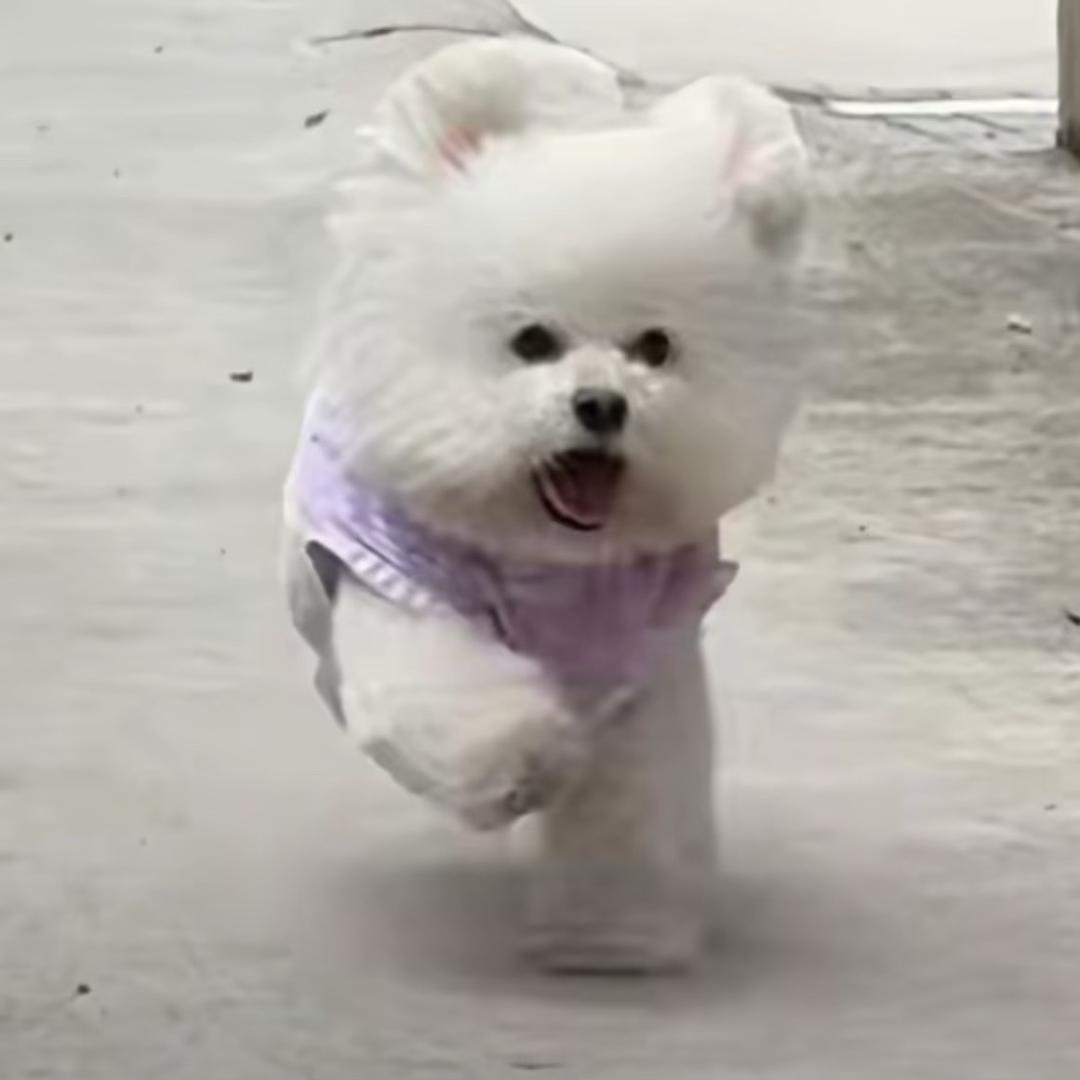 是静静呀～