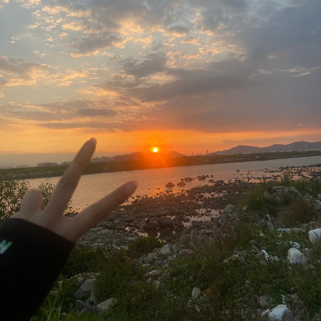 杉杉。