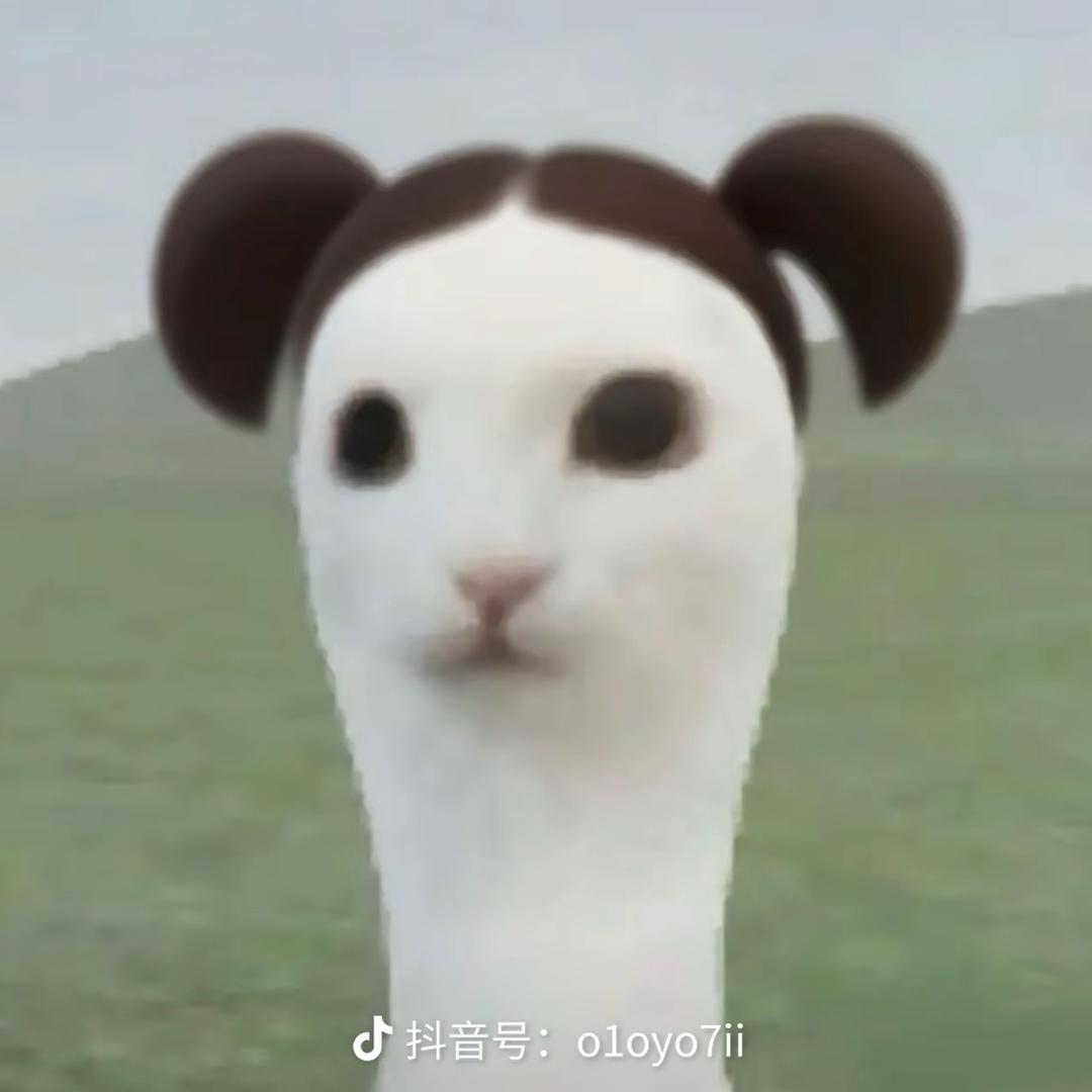 正宗椰汁椰树牌