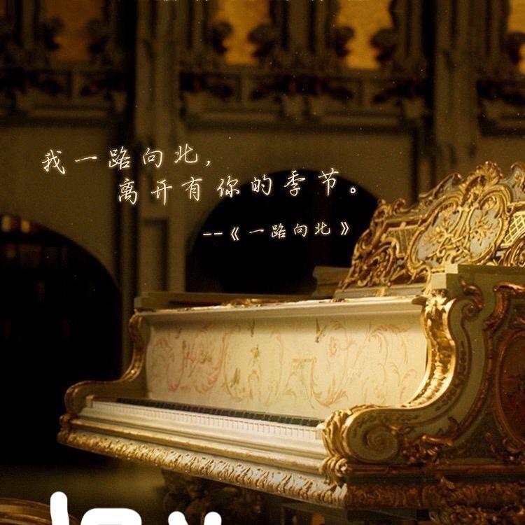 沁音乐器专营店