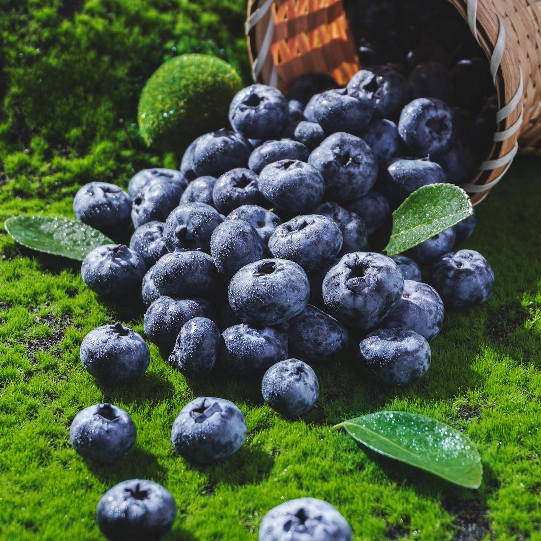 怡颗果邦果专卖店