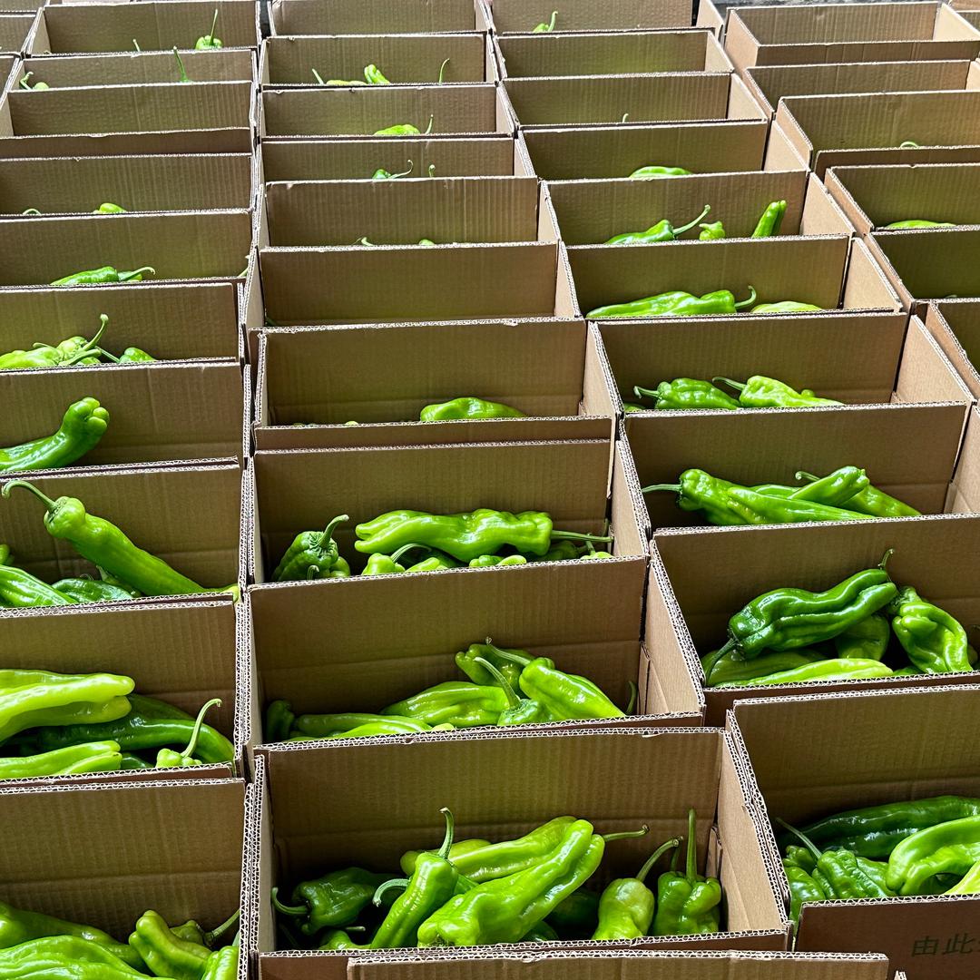 卖辣椒的小李～