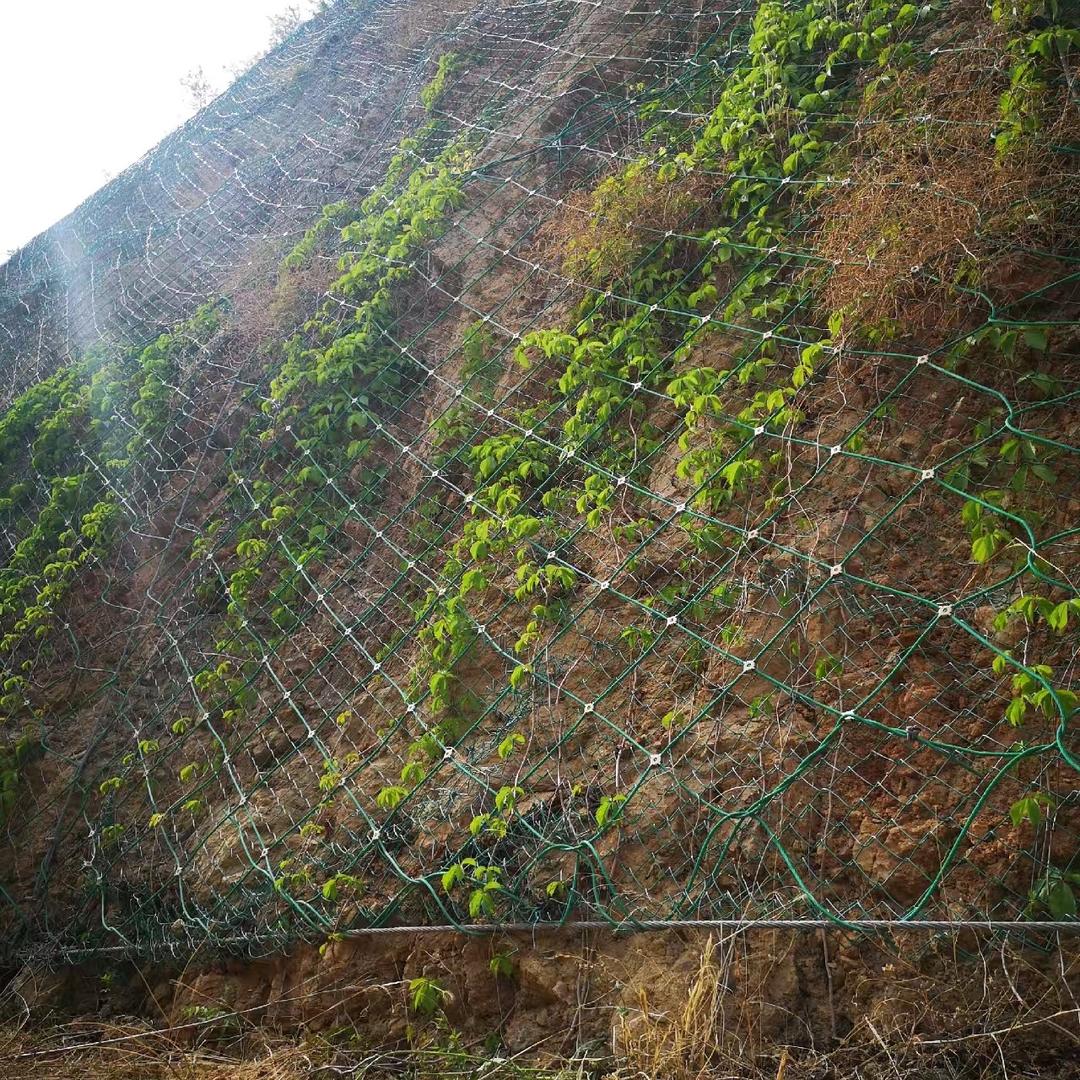 安平环东边坡防护网厂家