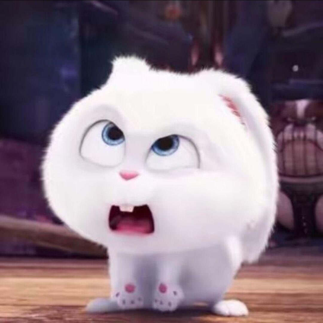 大蛇俱乐部~狗师傅